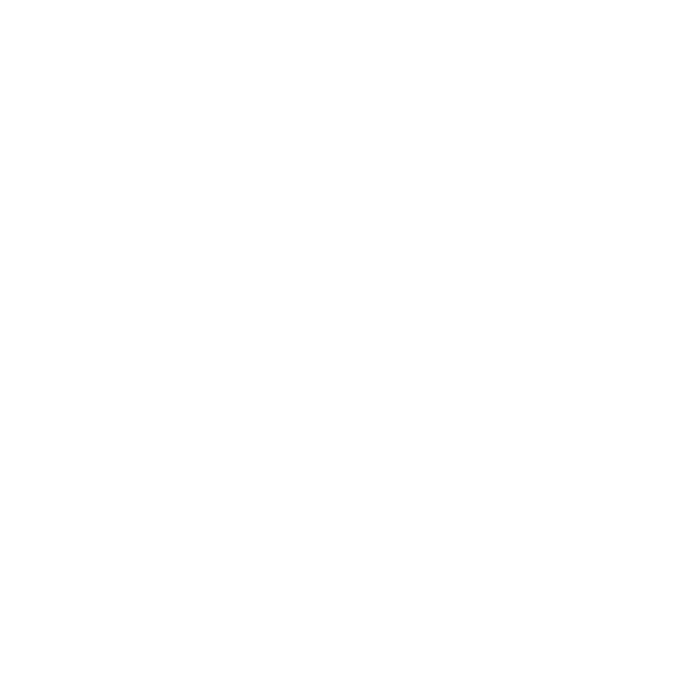 Śląsk Wrocław
