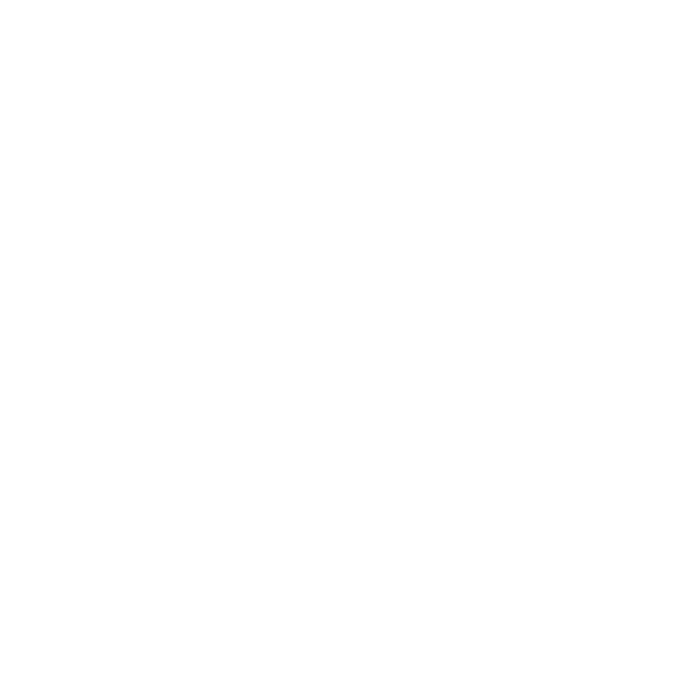 GKS Katowice