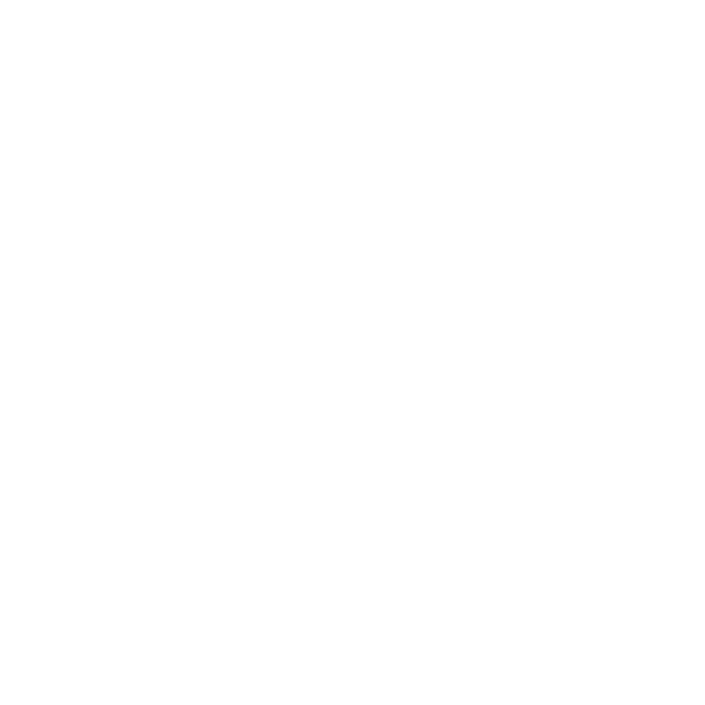 Górnik Zabrze