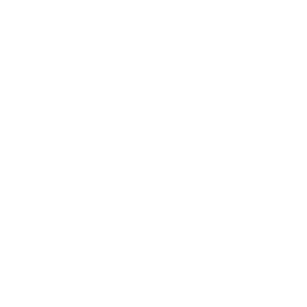 Lech Poznań