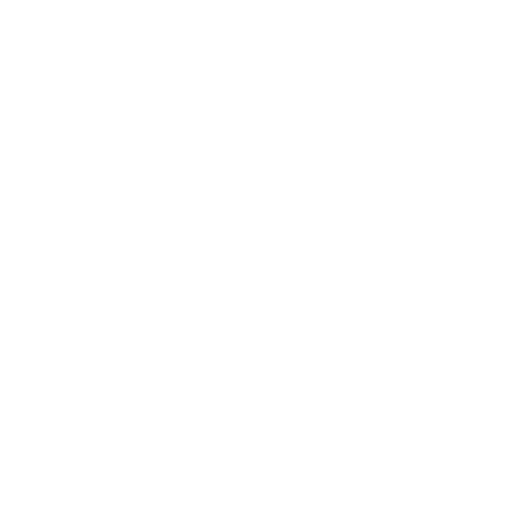 Piast Gliwice