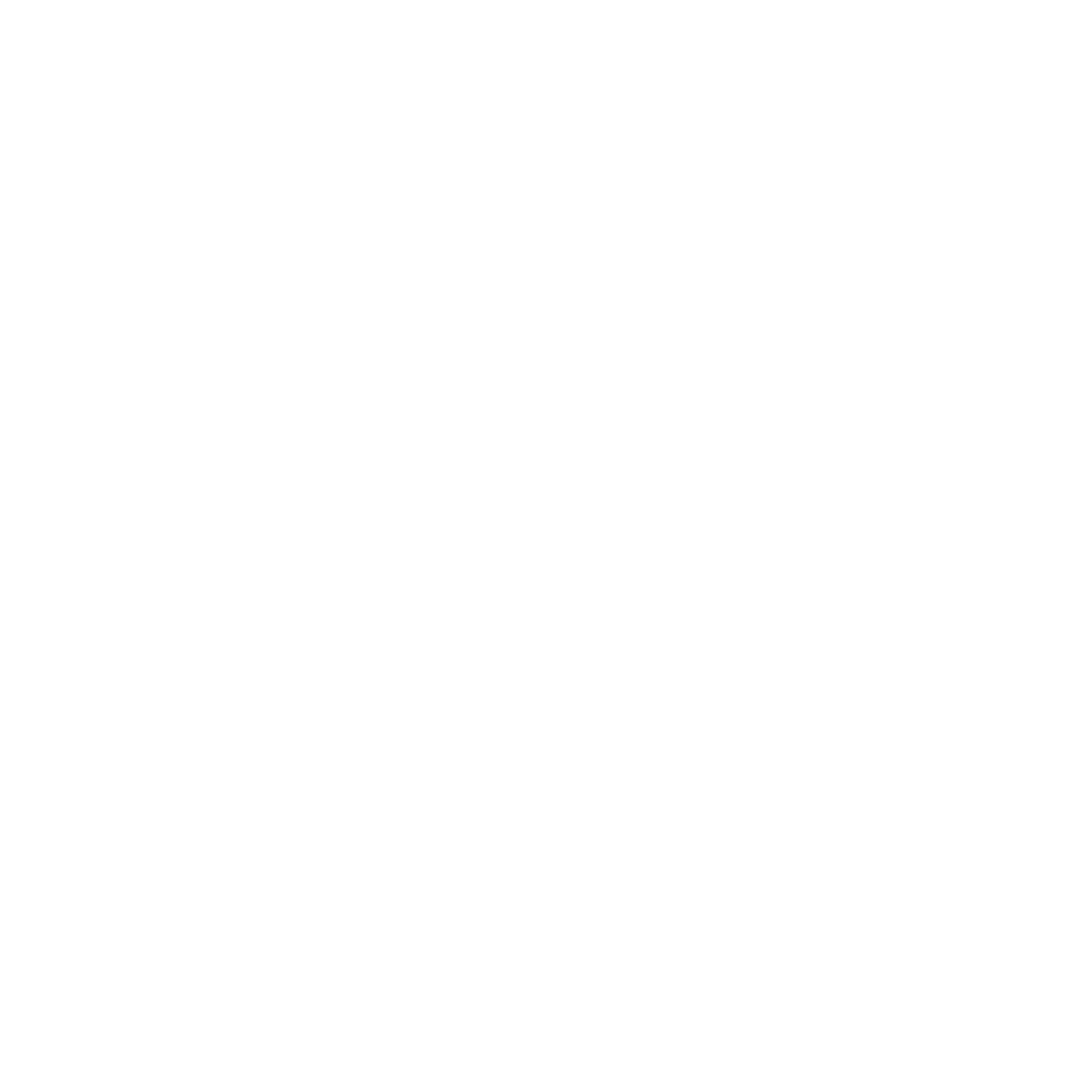 Pogoń Szczecin