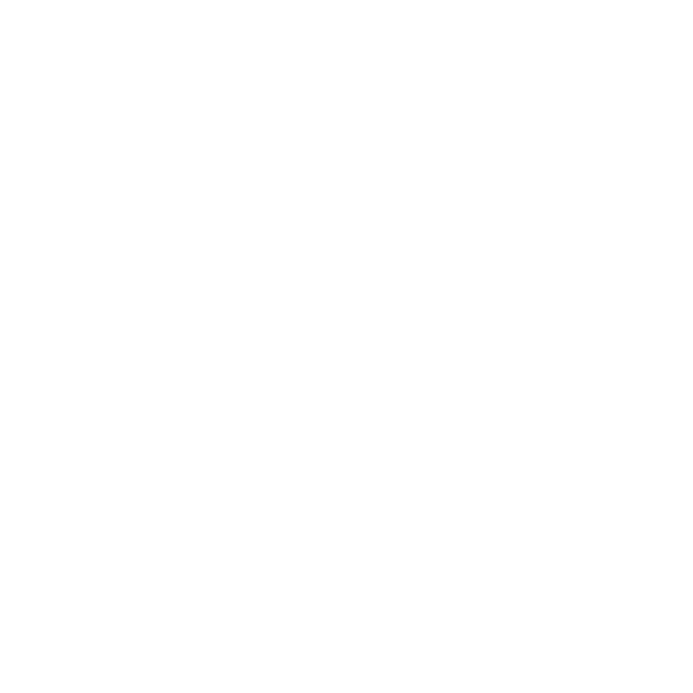 Radomiak Radom