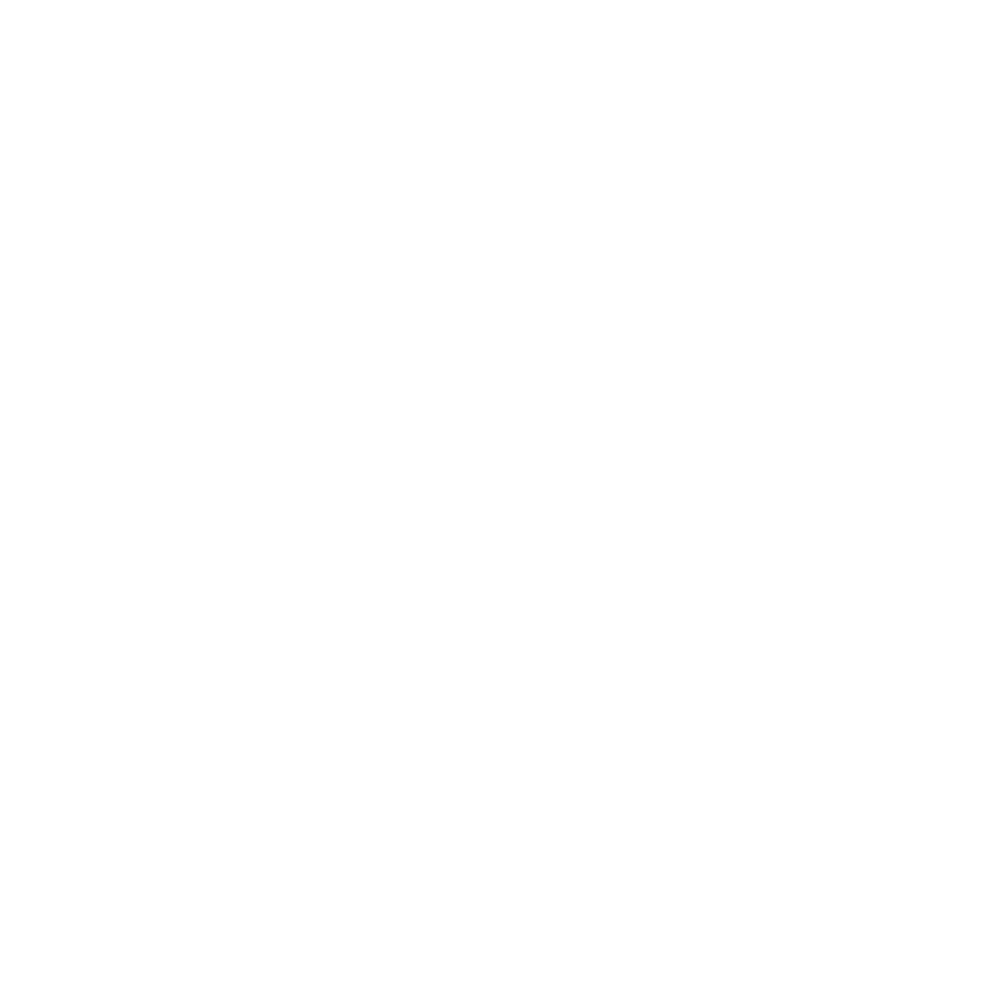 Raków Częstochowa
