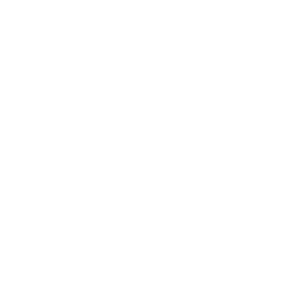 Wisła Płock
